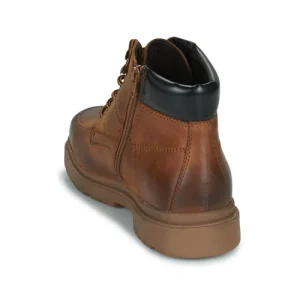 Geox – U ANDALO B Marron Livraison Standard/Rapide 16